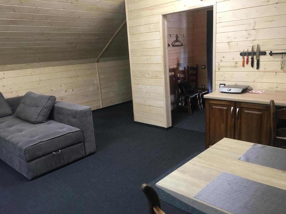 Appartement Хочу В Карпати à Skole Extérieur photo